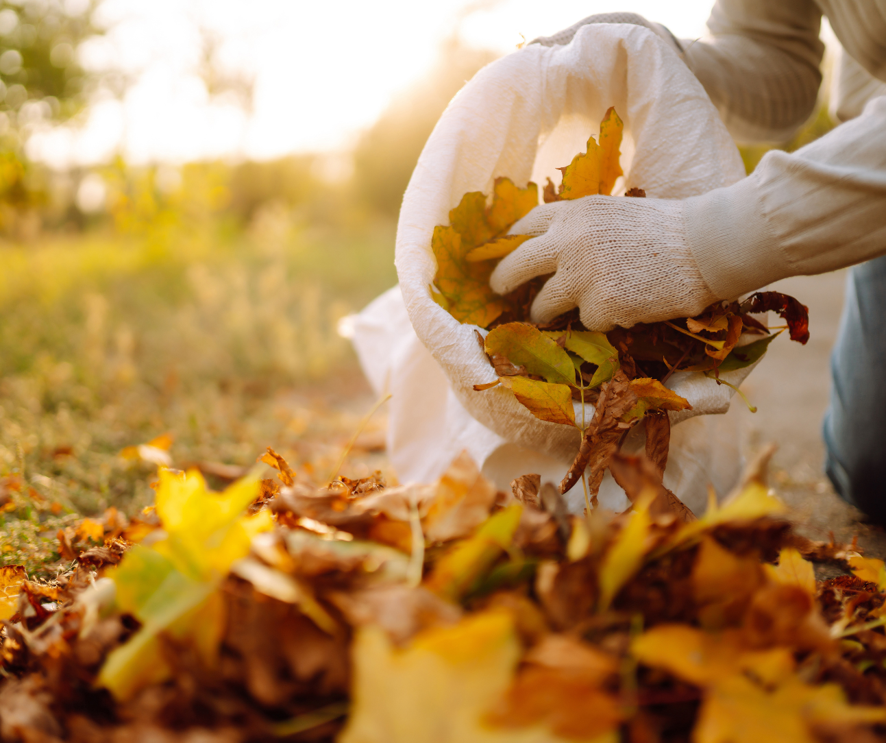 εργασίες κήπου
