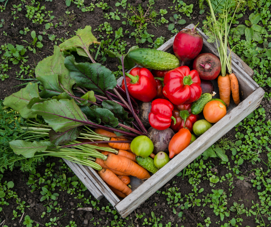 Λαχανόκηπος Μαΐου με Εργαλεία Fiskars | Φύτευση & Φροντίδα για τον λαχανόκηπο σας