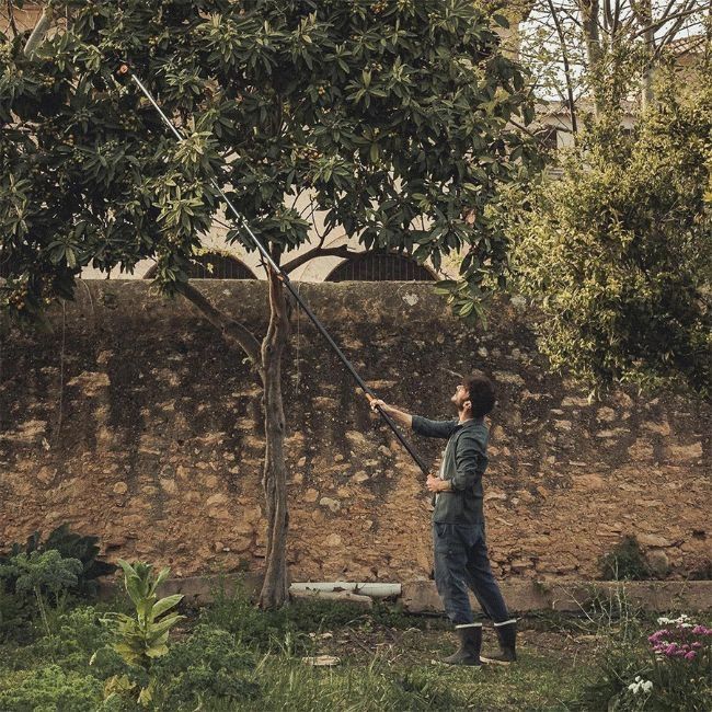 Κλάδεμα Ψηλών Δέντρων