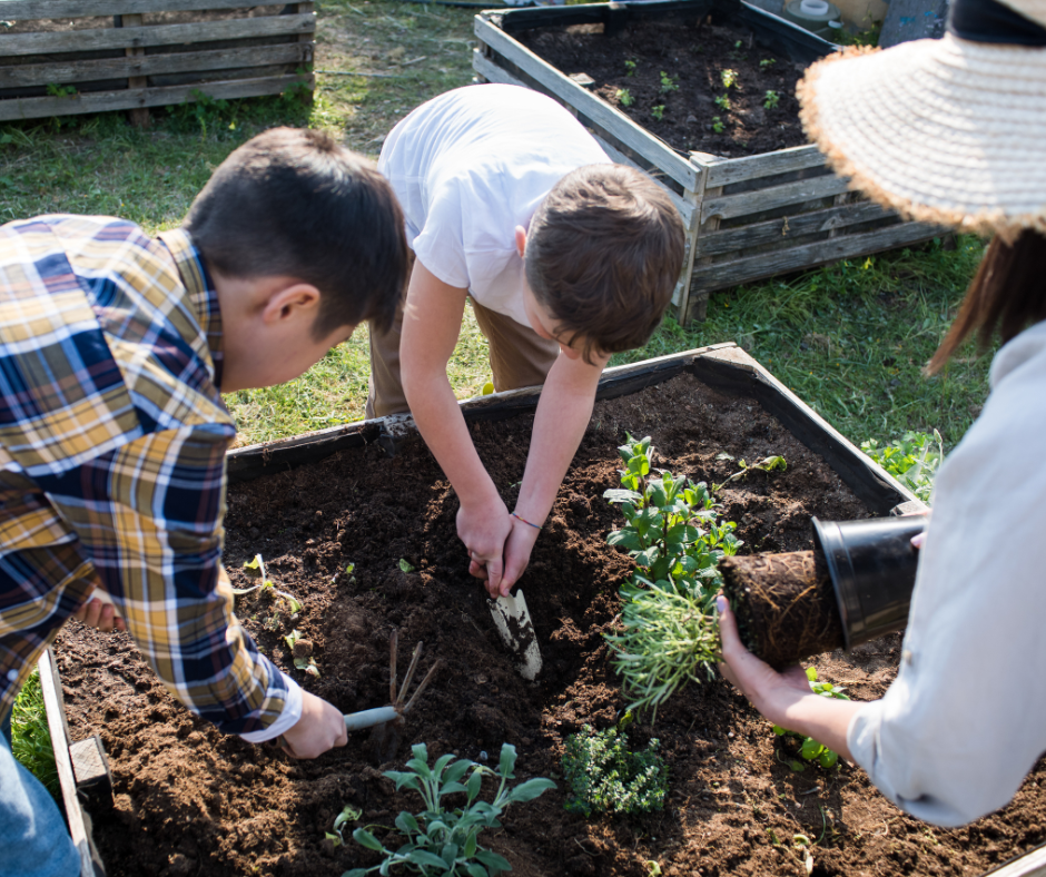 Κηπουρική για Παιδιά