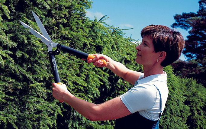 ψαλίδες μπορντούρας