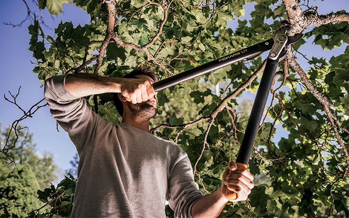 κλαδευτήρια με μακριές λαβές