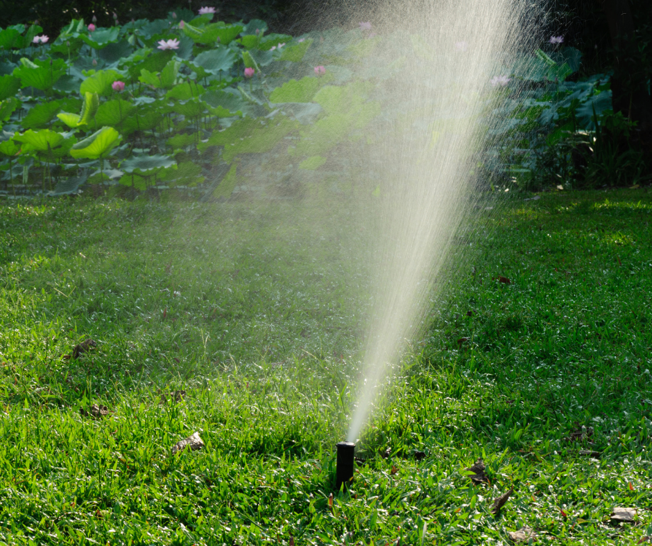 Αυτόματο Πότισμα