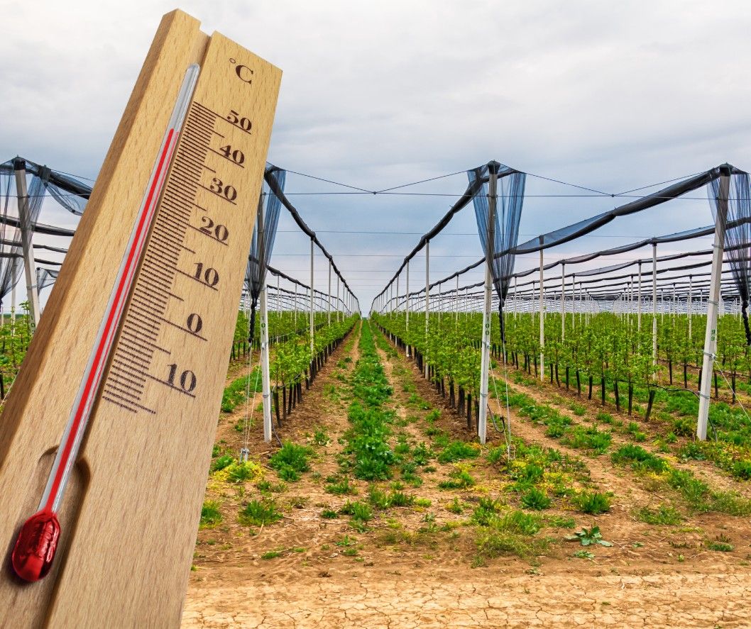 Προστασία Κήπου από Καύσωνα