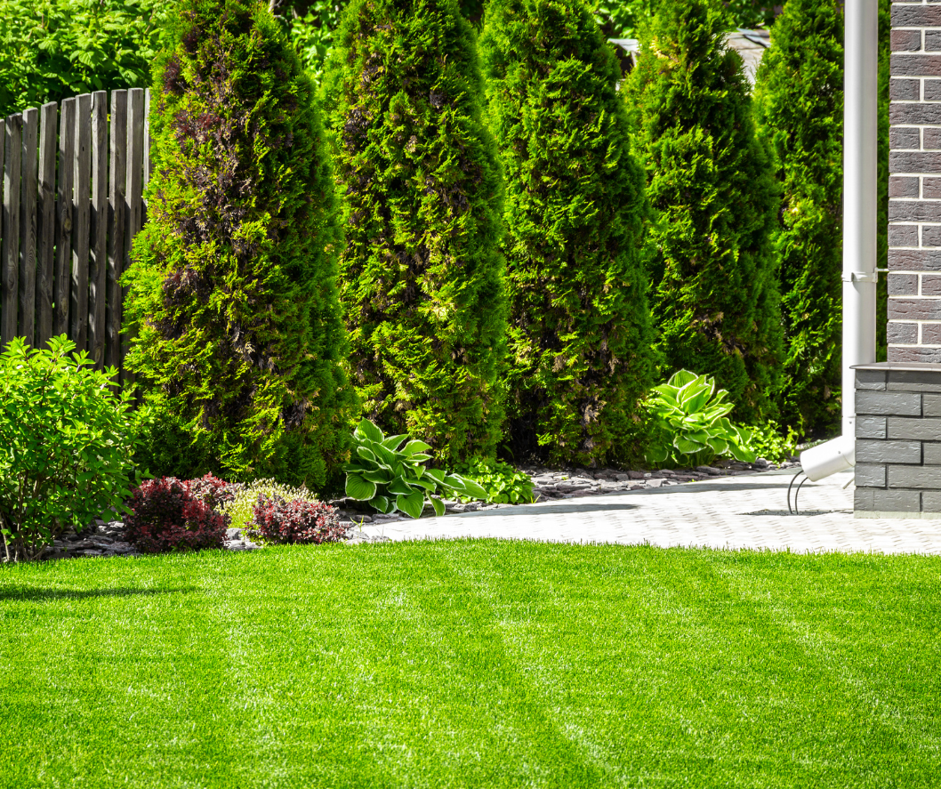 φροντίδα γκαζόν καλοκαίρι