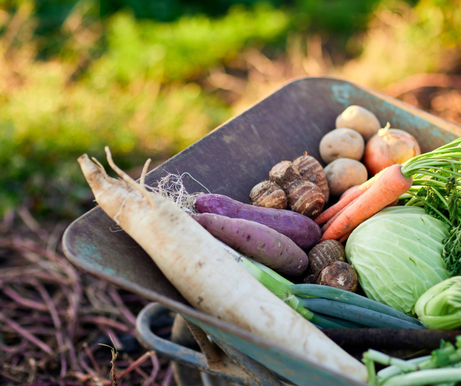 Εργαλεία Συγκομιδής Fiskars