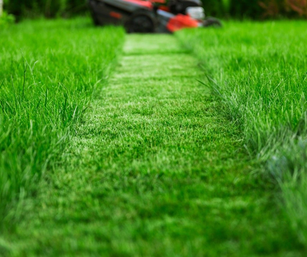 Επισπορά Γκαζόν